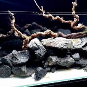 Paludarium wood & stones